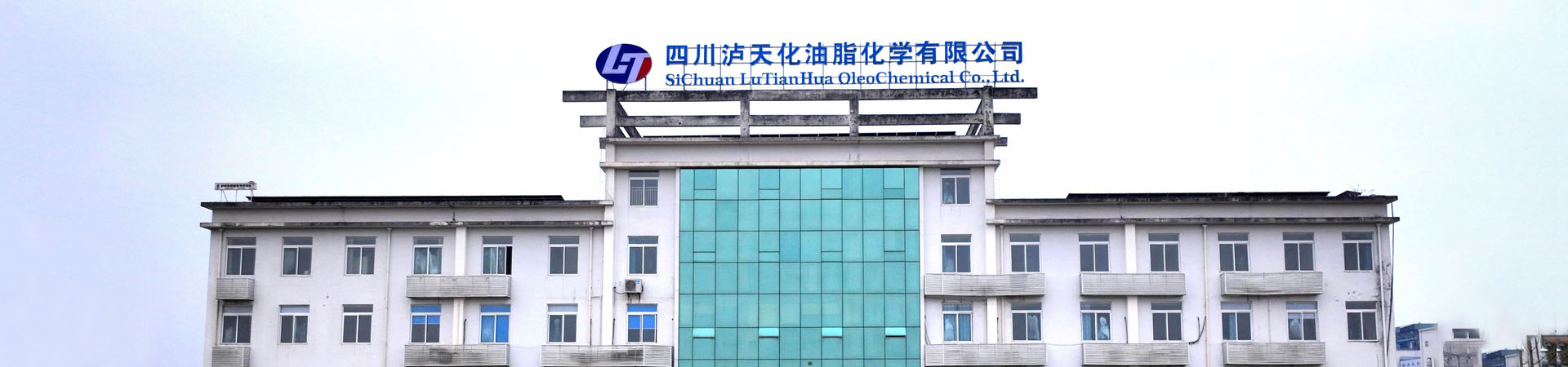 泸天化油脂化学