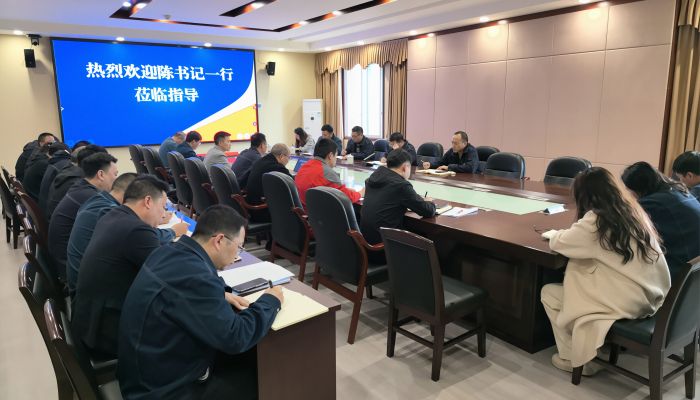 泸天化股份公司纪委书记陈伟带队开展10万吨/年绿色精细化学品项目督导检查